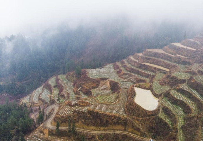 一切從精準(zhǔn)出發(fā)——來自武陵山區(qū)的脫貧答卷